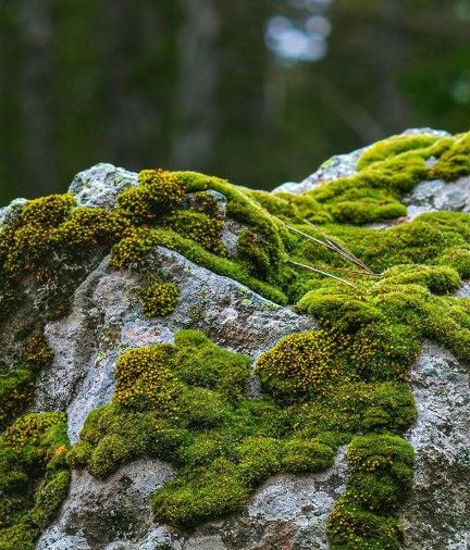 Unfold - 164M – Bild 4
